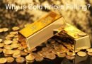 Reasons of Gold Price Falling Today After US Fed Meeting